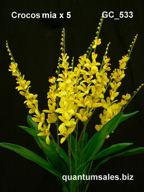 Crocosmia x 5 ( $3.80 )